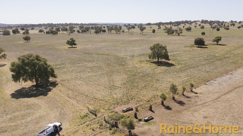 Photo - 229 Combo Road, Geurie NSW 2818 - Image 4