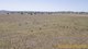 Photo - 229 Combo Road, Geurie NSW 2818 - Image 5