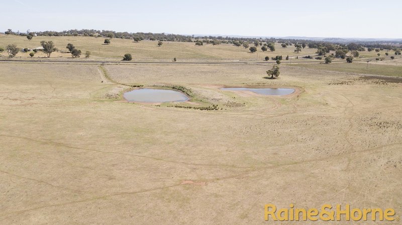 Photo - 229 Combo Road, Geurie NSW 2818 - Image 6