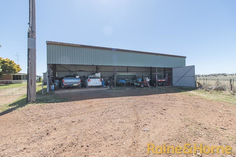 Photo - 229 Combo Road, Geurie NSW 2818 - Image 10