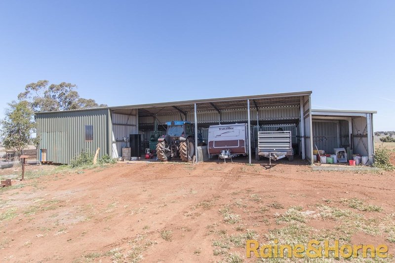 Photo - 229 Combo Road, Geurie NSW 2818 - Image 11