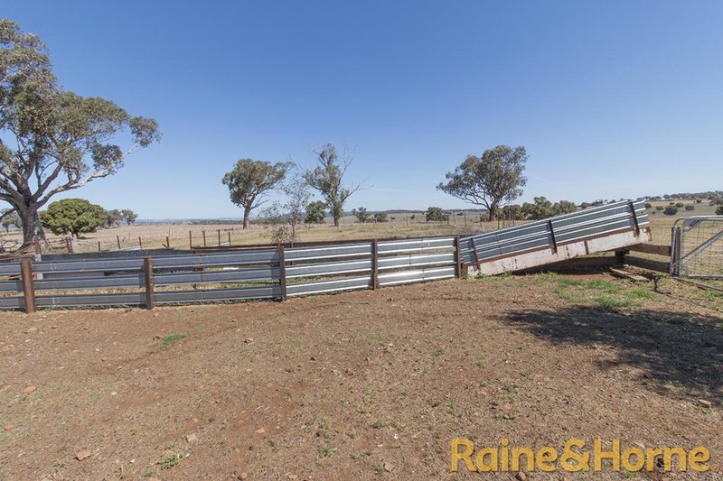 Photo - 229 Combo Road, Geurie NSW 2818 - Image 13