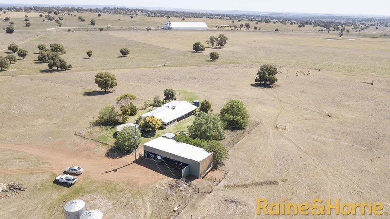 Photo - 229 Combo Road, Geurie NSW 2818 - Image 15