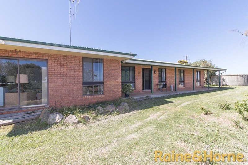 Photo - 229 Combo Road, Geurie NSW 2818 - Image 16