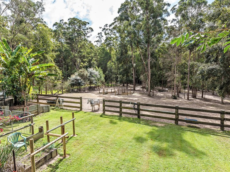 Photo - 229 Highfield Rise, Pomona QLD 4568 - Image 2