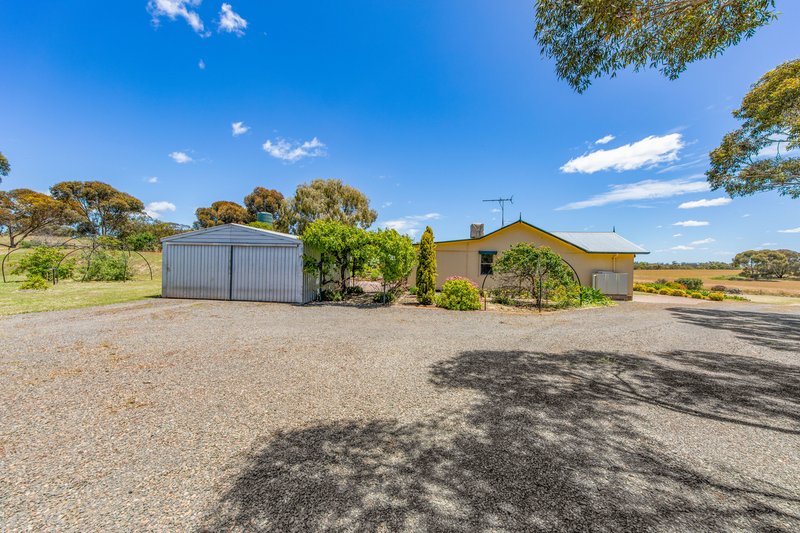 Photo - 229 River Road, Bagot Well SA 5373 - Image 15