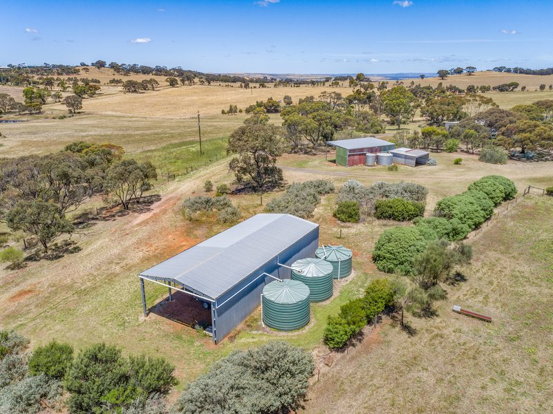 Photo - 229 River Road, Bagot Well SA 5373 - Image 16