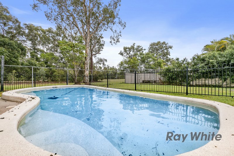 Photo - 23 Abelia Street, Alexandra Hills QLD 4161 - Image 3