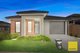 Photo - 23 Alister Grove, Tarneit VIC 3029 - Image 3