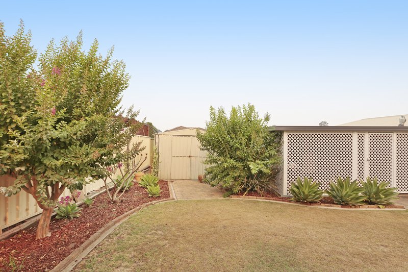 Photo - 23 Avery Street, Rutherford NSW 2320 - Image 13