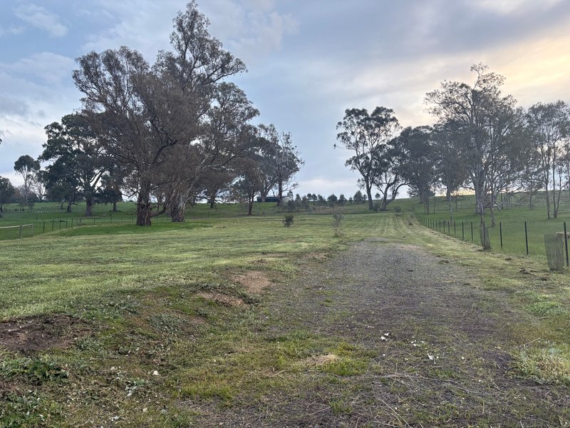 Photo - 23 Bainbridge Way, Alexandra VIC 3714 - Image 3