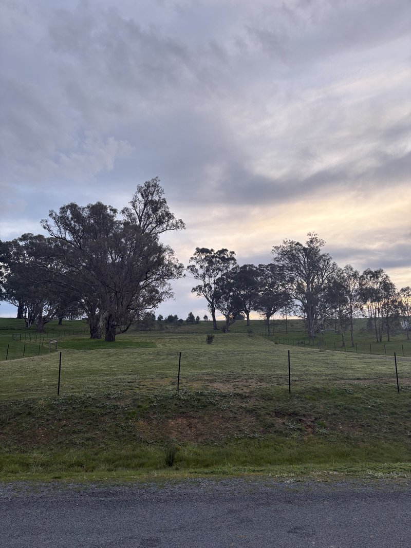 Photo - 23 Bainbridge Way, Alexandra VIC 3714 - Image 4