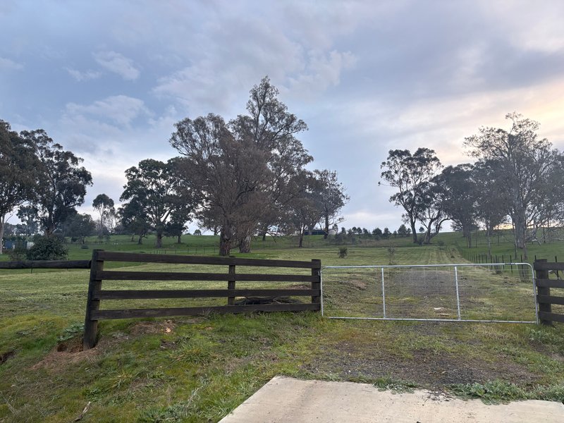 Photo - 23 Bainbridge Way, Alexandra VIC 3714 - Image 5