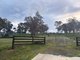 Photo - 23 Bainbridge Way, Alexandra VIC 3714 - Image 5