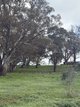 Photo - 23 Bainbridge Way, Alexandra VIC 3714 - Image 7