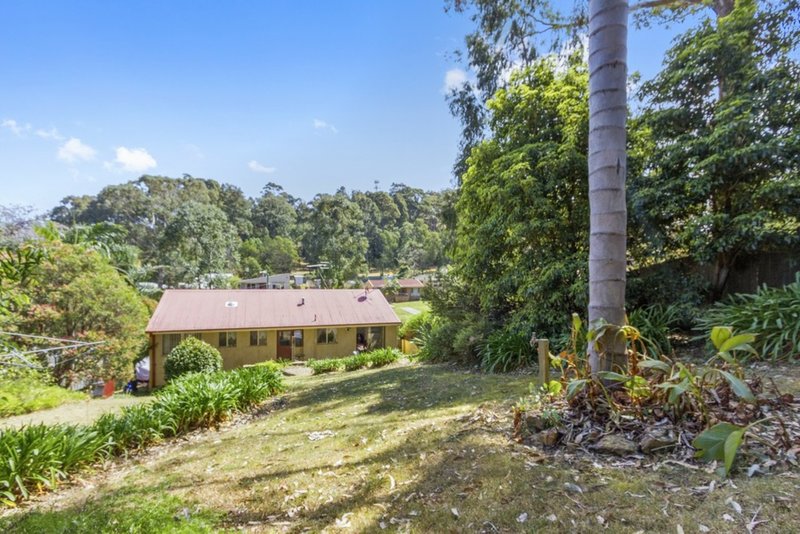 Photo - 23 Berrima Street, Catalina NSW 2536 - Image 6