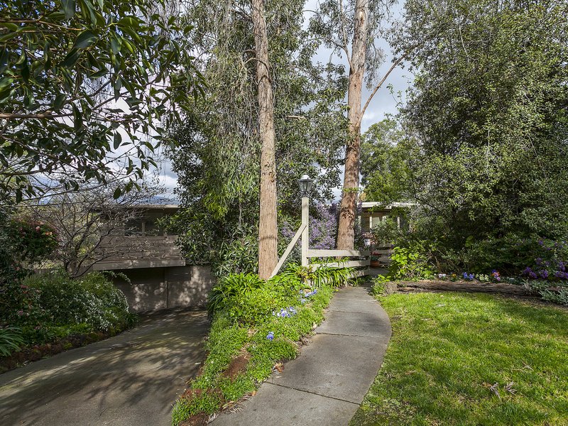 Photo - 23 Byways Drive, Ringwood East VIC 3135 - Image 3