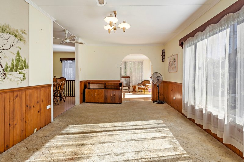 Photo - 23 Camelia Avenue, Everton Hills QLD 4053 - Image 5