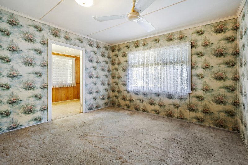 Photo - 23 Camelia Avenue, Everton Hills QLD 4053 - Image 13
