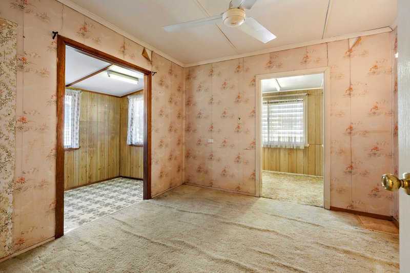 Photo - 23 Camelia Avenue, Everton Hills QLD 4053 - Image 15