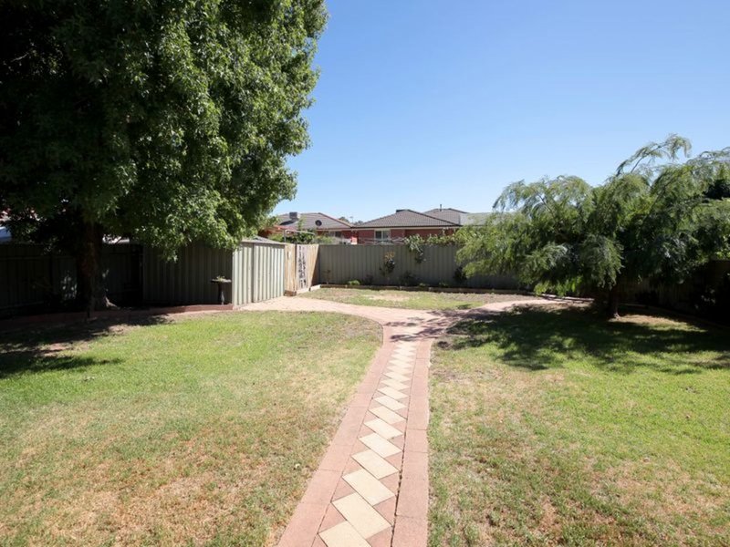 Photo - 23 Carmody Street, Kooringal NSW 2650 - Image 4