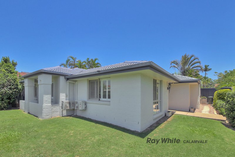 Photo - 23 Carnation Crescent, Calamvale QLD 4116 - Image 12