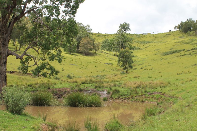 23 Cells River Road, Yarrowitch NSW 2354 Real Estate Industry Partners