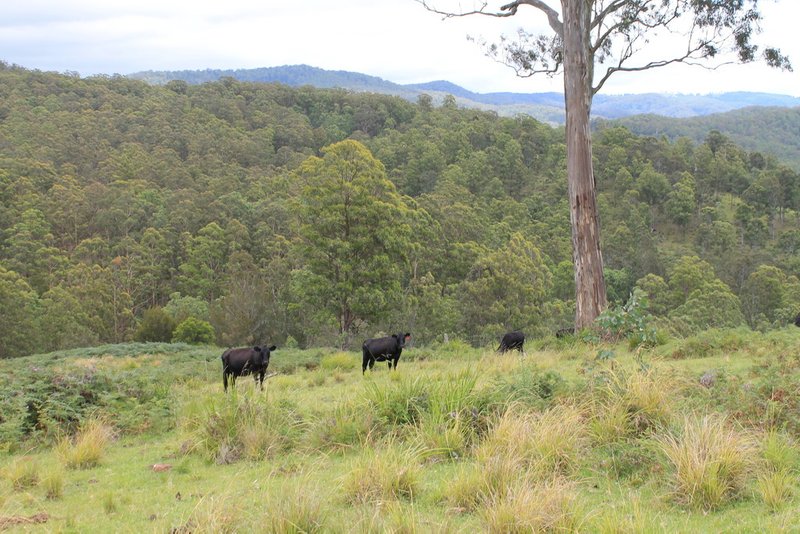 23 Cells River Road, Yarrowitch NSW 2354 Real Estate Industry Partners