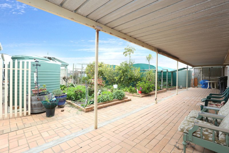 Photo - 23 Crampton Crescent, Port Victoria SA 5573 - Image 14