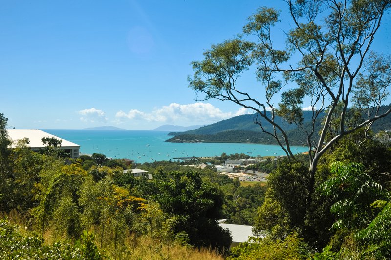 Photo - 23 Cumberland Court, Airlie Beach QLD 4802 - Image 4