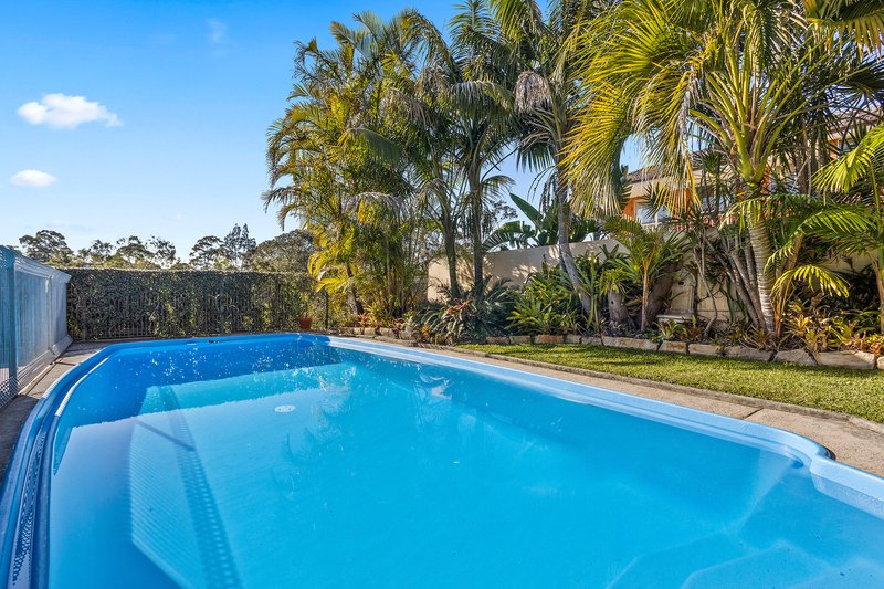 Photo - 23 Cypress Avenue, Figtree NSW 2525 - Image 9