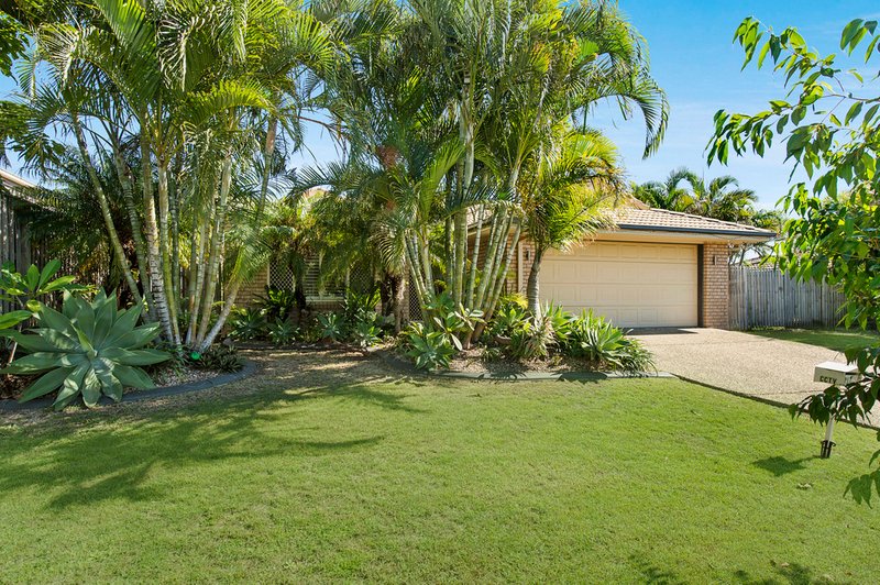 23 Dahlia Crescent, Ormeau QLD 4208