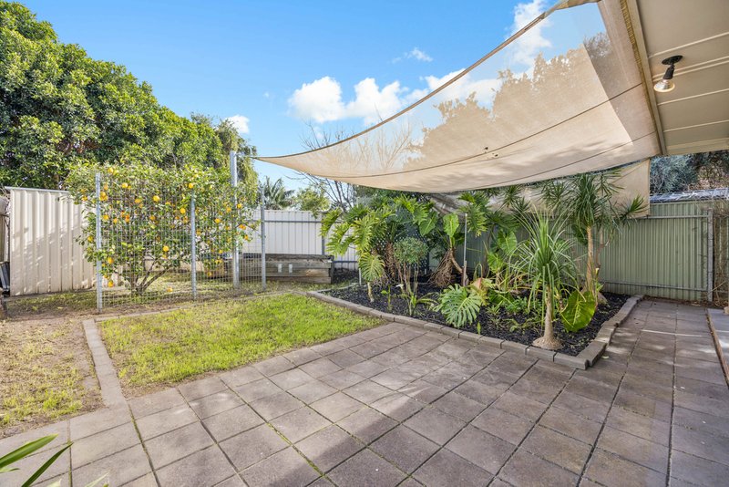 Photo - 23 Davis Street, West Beach SA 5024 - Image 14