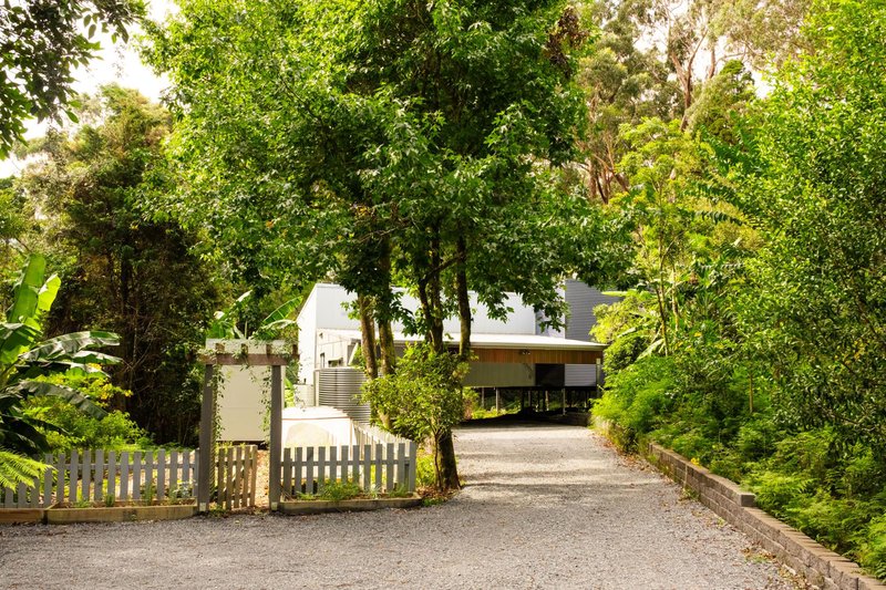 Photo - 23 Ee-Jung Road, Springbrook QLD 4213 - Image 17