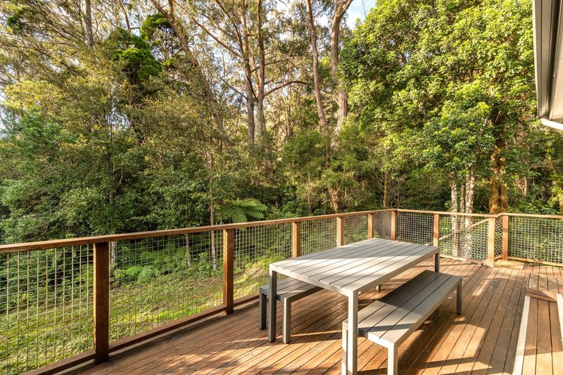 Photo - 23 Ee-Jung Road, Springbrook QLD 4213 - Image 18