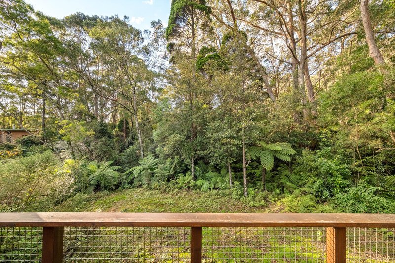 Photo - 23 Ee-Jung Road, Springbrook QLD 4213 - Image 24