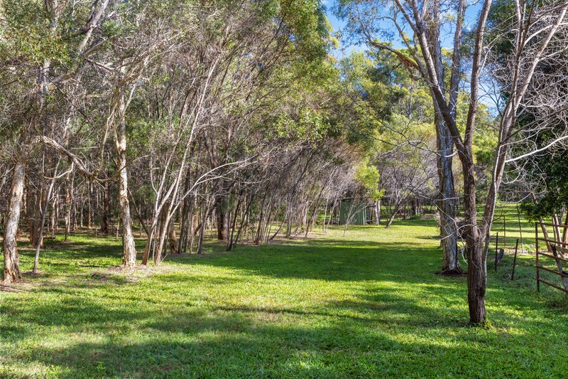 Photo - 23 Eucalypt Way, Cootharaba QLD 4565 - Image 18