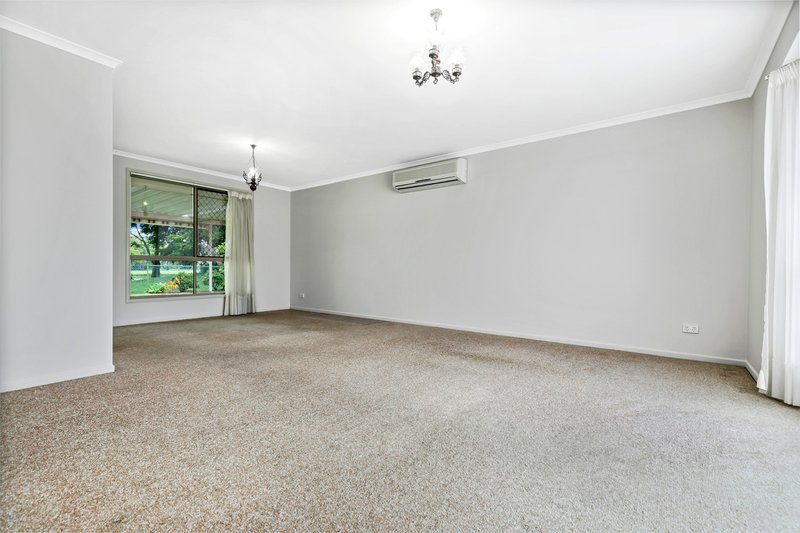 Photo - 23 Hazeltine Court, Maroochydore QLD 4558 - Image 7