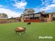 Photo - 23 Keightley Street, Moruya NSW 2537 - Image 22