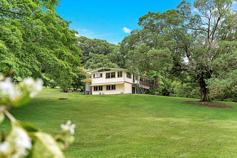 Photo - 23 Lavers Road, Lower Daintree QLD 4873 - Image 2