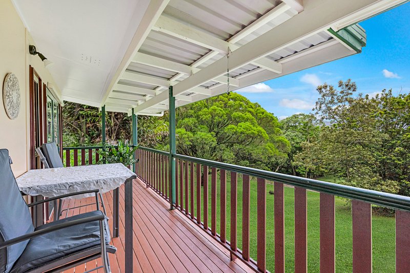 Photo - 23 Lavers Road, Lower Daintree QLD 4873 - Image 15