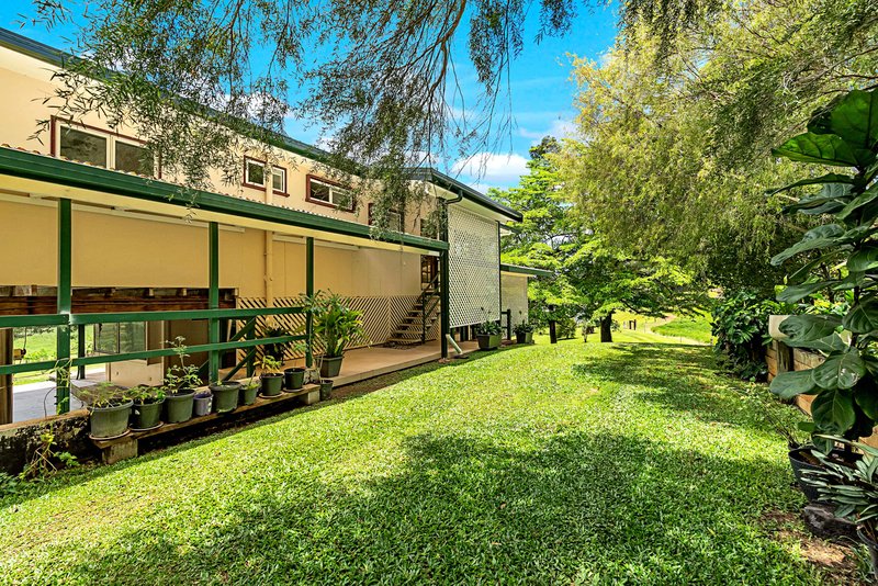 Photo - 23 Lavers Road, Lower Daintree QLD 4873 - Image 22