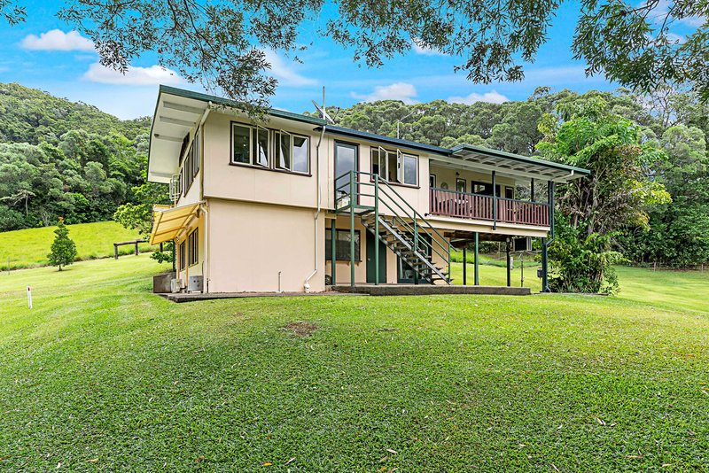 Photo - 23 Lavers Road, Lower Daintree QLD 4873 - Image 24