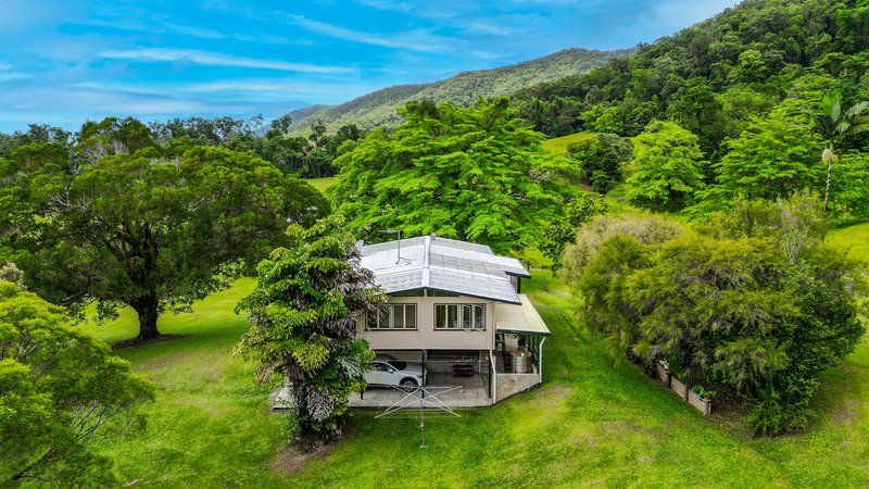 Photo - 23 Lavers Road, Lower Daintree QLD 4873 - Image 25