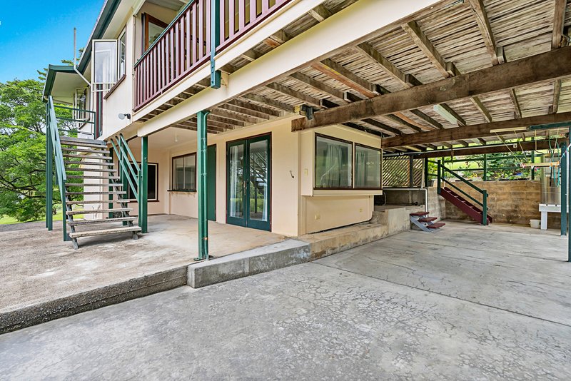 Photo - 23 Lavers Road, Lower Daintree QLD 4873 - Image 26