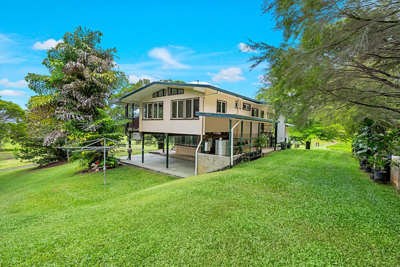 Photo - 23 Lavers Road, Lower Daintree QLD 4873 - Image