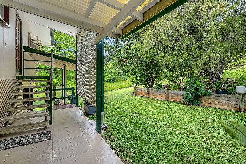 Photo - 23 Lavers Road, Lower Daintree QLD 4873 - Image 23