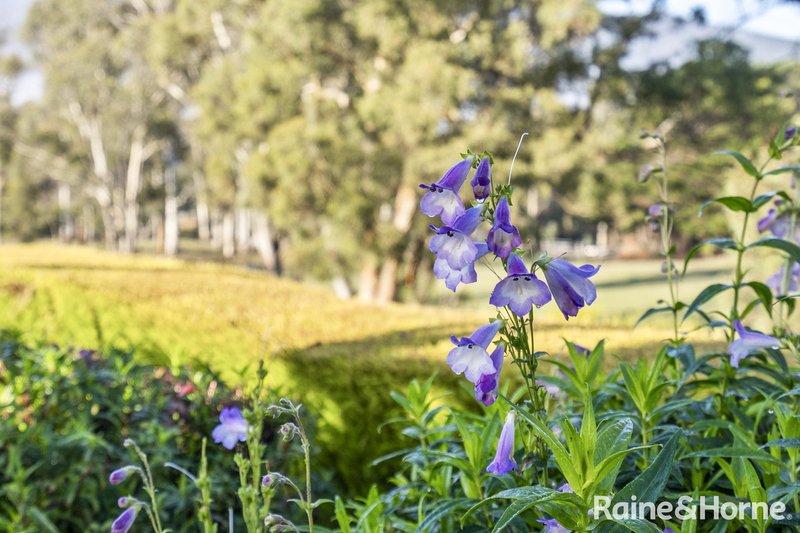 Photo - 23 Mapley Road, Lachlan TAS 7140 - Image 18