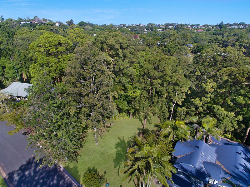 Photo - 23 Martins Creek Road, Buderim QLD 4556 - Image 4