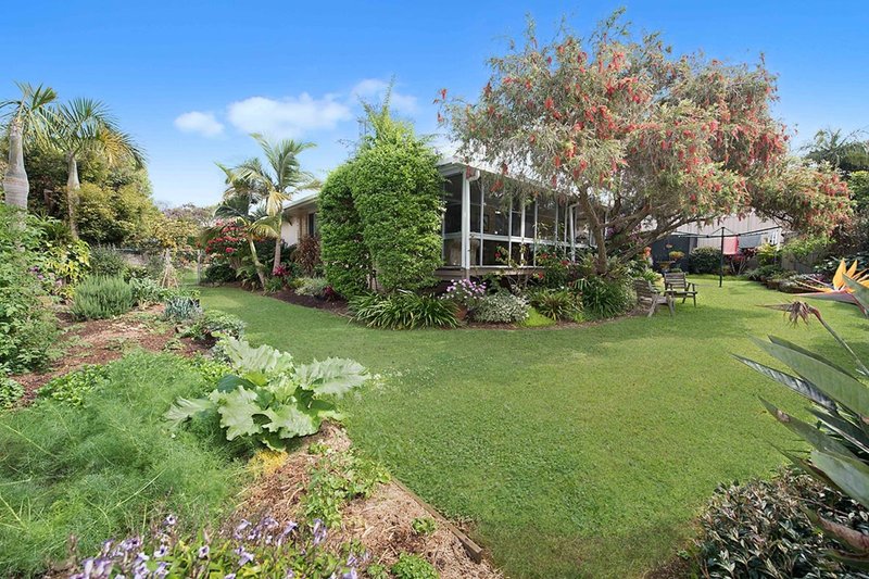 Photo - 23 Mill Road, Buderim QLD 4556 - Image 5